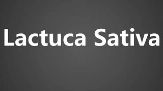 How To Pronounce Lactuca Sativa [upl. by Sirtaeb803]