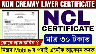 How To Apply Non Creamy Layer Certificate 2023  How to apply NCL certificate   NCL Apply Assam [upl. by Lucine616]