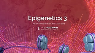 Epigenetics3 Histone Modification and ChIPseq [upl. by Inalej824]