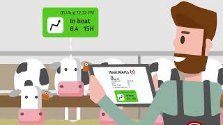 Smart amp Simple How the CowManager system works [upl. by Lorrimor]