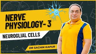 MBBS First Year  Nerve Physiology  Neuroglia amp Myelination  Dr Sachin Kapur  AIIMS [upl. by Nevek]