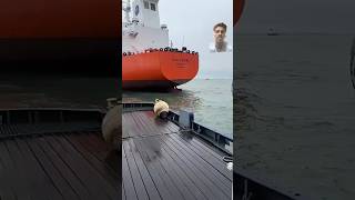 Seal fish giant ship incidents 😬 ship shipping boat marine automobile shorts [upl. by Faires]