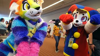 Anthrocon Day 1 Compilation  Unusual and Rare Fursuits  2024 [upl. by Wallford908]