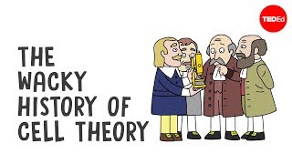 The wacky history of cell theory  Lauren RoyalWoods [upl. by Mychal789]