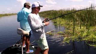 Florida Loxahatchee Preserve Bass Fishing Flipping with Ricky amp Capt Shane [upl. by Nilo]