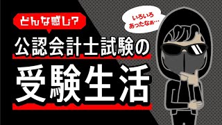 【受験生必見！】公認会計士試験の受験生活ってどんな感じなの？どのくらい勉強するの？どんなモチベーションなの？【現役公認会計士が実体験に基づいて解説します】 [upl. by Aramad175]