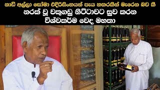 නරක් වූ වකුගඩු නිට්ටාවට සුව කරන විශ්වකර්ම වෙද මහතා  Ancient Medical Cure For Kidney Found [upl. by Just]