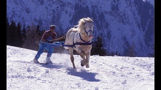 Skijoring  The Incredible Horse Skiing Sport [upl. by Tarrsus]