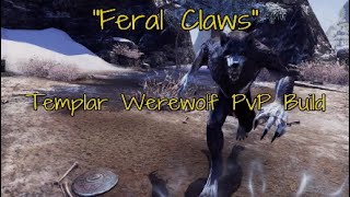 ESO  quotFeral Clawsquot Werewolf Templar PvP Build Video [upl. by Lamaaj]