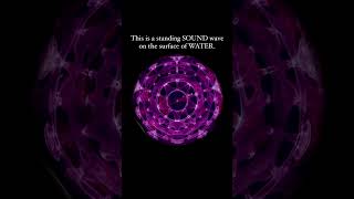 Physics of sound Cymatics This video was captured using just water light and sound resonance [upl. by Concha575]