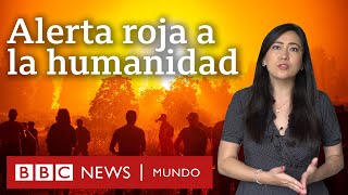 5 revelaciones del informe de la ONU sobre cambio climático y qué dice sobre América Latina [upl. by Airotal]