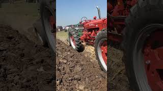 Farmall 400 and M Tandem Plowing at the Half Century of Progress Show tractor dirt [upl. by Idden191]