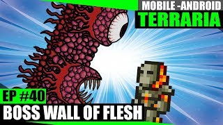 Terraria Mobile 40  BOSS WALL OF FLESH Vamos moer o muro de carne [upl. by Trainer]