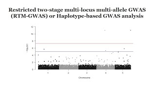 Haplotypebased GWAS analysis using rtmgwas software A quick GWAS tutorial [upl. by Adnohsal]