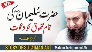 Story of Prophet Sulaiman as  اہم قصہ  Maulana Tariq Jameel Latest Bayan 14 February 2019 [upl. by Jaclyn]