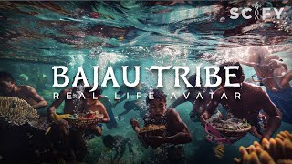 This Tribe Evolved to Live Underwater and Failed Become Aquaman  Bajau Tribe a Reallife Avatar [upl. by Trebleht]