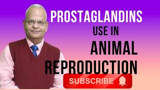 Discover How Prostaglandins Impact Animal Reproduction [upl. by Atinaujnas]