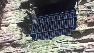 Ghosts Tantallon Castle [upl. by Packton]