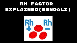 Rh factor I RH blood group system I Explained I Bengali [upl. by Anidnamra404]