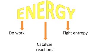 Campbells Biology Chapter 8 An Introduction to Metabolism [upl. by Nugent]