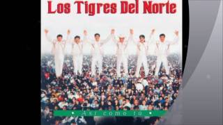 Los Tigres Del Norte Enseñarte a Respetar [upl. by Akanke17]