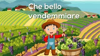 Che bello vendemmiare  Canzoni per bambini di Mela Music MelaEducational [upl. by Philomena308]