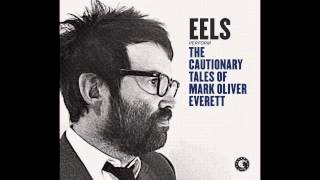 EELS  Parallels audio stream [upl. by Yorgerg]