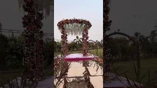 Wedding Mandap Decoration  Decoration Ideas  Tent Decoration [upl. by Alyekahs]