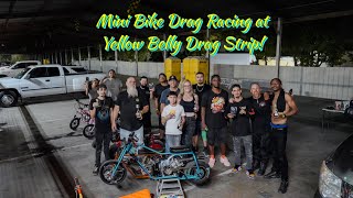 Mini Bike Drag Racing at Yellow Belly [upl. by Phia872]