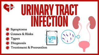 Urinary Tract Infection UTI  what is it and how to treat  MedBoard [upl. by Eidualc910]