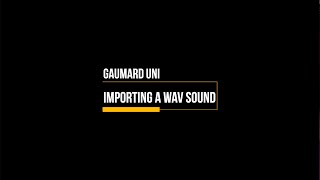 01 Gaumard UNI  Importing a wav file [upl. by Xeno]