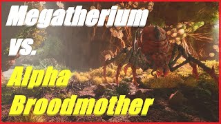 Ark Survival Ascended Alpha Broodmother versus Megatherium [upl. by Nilo358]