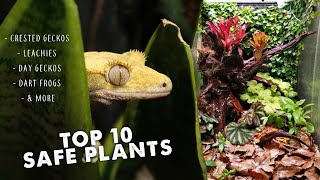 SAFE PLANT LIST  Crested Geckos Day Geckos Dart Frogs amp More [upl. by Sipple488]