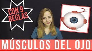 MÚSCULOS DEL OJO ANATOMÍA  MÚSCULOS EXTRAOCULARES  Mentes Médicas [upl. by Zeugirdor]