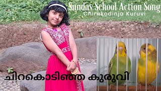 Chirakodinja Kuruvi  Sunday School Action SongsundayschoolmalayalamsongchristianLincy Janeesh [upl. by Atsirtal321]