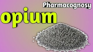 Pharmacognosy of Opium [upl. by Ahsekyt]