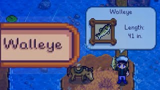 WHERE AND HOW TO CATCH WALLEYE Stardew Valley [upl. by Orvas295]