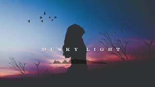 AFROBEAT INSTRUMENTAL  DUSKY LIGHT [upl. by Wennerholn462]