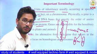 GPB 121 Lecture 3 Mendelian Principles of Heredity [upl. by Onairelav]