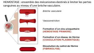 Hemato 08La physiologie de l’hémostase Dr Abbadi [upl. by Suneya]