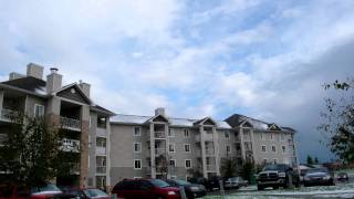 Hailstorm Aftermath Bridlewood Calgary August 22 2010 [upl. by Mccartan]