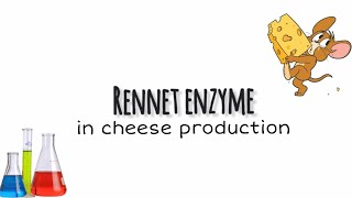 Rennet enzyme in cheese production  overview [upl. by Boak793]