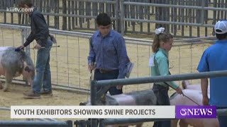 85th Annual Nueces County Junior Livestock Show continues with local 4H students [upl. by Roosevelt427]