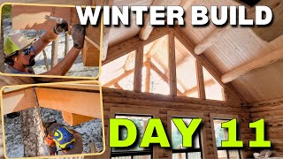 Day 11  Extreme Log Cabin Winter Build  Ice amp Water ShieldWindow Install [upl. by Mcgraw752]