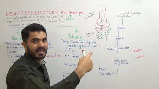 L9 Neurotransmitters their role in neurotransmission and nerve gas [upl. by Anod824]