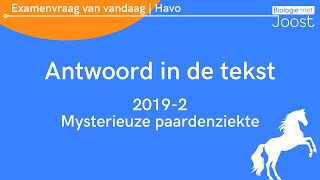 6 Examenvraag van vandaag  Havo  20231 Mysterieuze paardenziekte [upl. by Kcaj913]