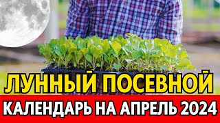 Когда сеять сажать в апреле Лунный посевной календарь на апрель 2024 календарь огородника [upl. by Ripp]