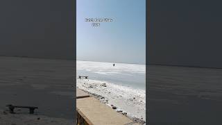 Kutch Rann Utsav 202425  White Sand Festival of Kutch  Indias Largest Salt Desert whitedesert [upl. by Reace]