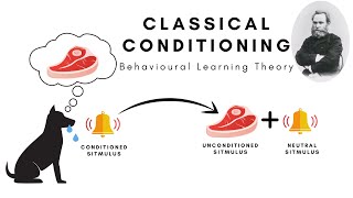 Classical Conditioning Pavlovian Conditioning and SecondorderHigherorder Conditioning [upl. by Ralyks]