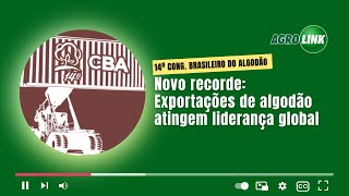 Brasil supera os EUA e lidera exportações de algodão em novo recorde [upl. by Irehc725]